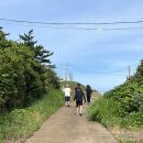 재형26호 | [제주살이] #22 메그 마지막밤