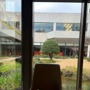 메종글래드제주호텔 | 제주 메종글래드 호텔 실제후기 | 제주공항 근처 5성급 가성비 숙소 + 삼다정 조식