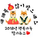 세수대야동까스 이미지