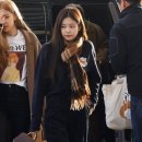 데인티 이미지