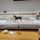 해피팬션 이미지