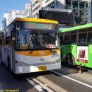 뉴대호운수 이미지