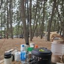 솔내음약국 이미지