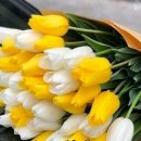 여인숙과 여관의 큰 차이 이미지