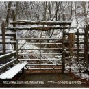 청해농장 이미지