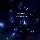 SOL안경 | 2025 심규선 소극장 콘서트 〈포춘텔러 : Fortune Teller〉 후기 | 신한 SOL페이 스퀘어 라이브홀