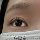 [양산 물금] 양산 속눈썹 펌 -다온 뷰티 단백질 속눈썹 펌 후기