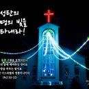 PICTURE&amp;TEXT_20241225_성탄의 생명의 빛을 나타내라!_누가복음 2장 30-32절_성탄절 묵상_우리 교회 성탄 트리 이미지