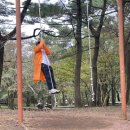 다람쥐쉼터야영장 | 제주 100대 오름 깨기 진행 현황 2 (44/100)