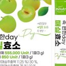 실로아트 네이버블로그