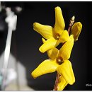 구마로36길 이미지