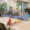 바다회마을 이미지