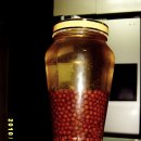 보리수 열매 효능과 이용 이미지