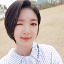 다미 이미지