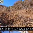 G1114 네이버블로그