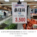 동네 대파 가격 인증 캠페인 - 875원 대파는 과연 존재할까? 이미지