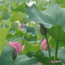 개인화물345