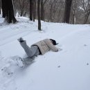 아카데미치과기공소 이미지