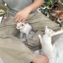 가창로216길 이미지