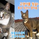 대호리 마을회관 이미지