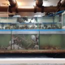 수산약국 이미지