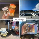 R-MOTEL | [대만 3박 4일 여행] 대만 여행 1일차 - 쥐훠궈, 레인스카이, 국립고궁박물원, 스린 야시장, 양산박...
