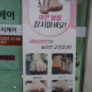 손꽃