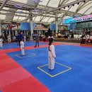 경산 엘리트 태권도장 이미지