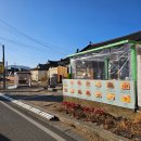 땡큐치킨 | 경주 황리단길 치킨맛집 땡큐치킨 경주점 확장이전 후 방문후기