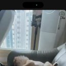 랑헤어 - 시흥시 서울대학로278번길 8 | 랑헤어