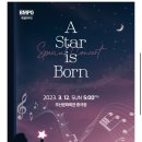 2023-03-0188 - 부여군 | 부산 오케스트라 특별 연주회 A Star is Born 관람 후기(동네핫플)
