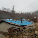 사북119안전센터 이미지