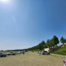 노을공원가로수길 이미지