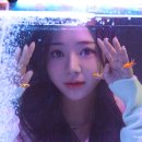 물들이다사진관 이미지