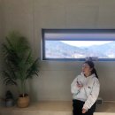 스테이 경화 이미지