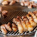 돼지와 건강 이미지