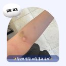 임당 재검 후기｜임당 재검 수치 기준 및 통과 후기