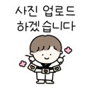스마일태권도장 이미지