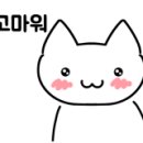비고앤세이지