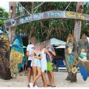 섬과 하루 이미지