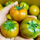 복남농장 이미지