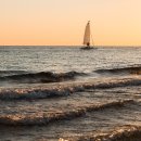 생명의 바다 1.1 이미지