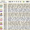 2022년 11월 21일 운세 및 세상 소식 이미지