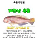 제주 오리지널 옥돔 2키로 44000 원 이미지