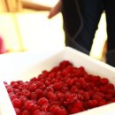 하서리8 이미지