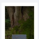 강재구공원 이미지