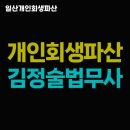 일산개인회생파산, 빠르고 효율적으로 개인회생 해결하는 완전 가이드