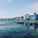 광안리 - 종로구 | 광안리
