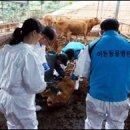 한우동물병원 이미지