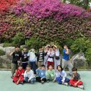 용인대 동양합기도 이미지